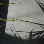 20170215_160610_300x300_acf_cropped-startseite